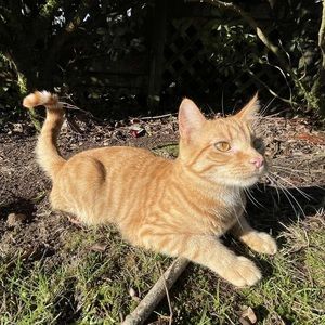 Meet your Posher, Grace